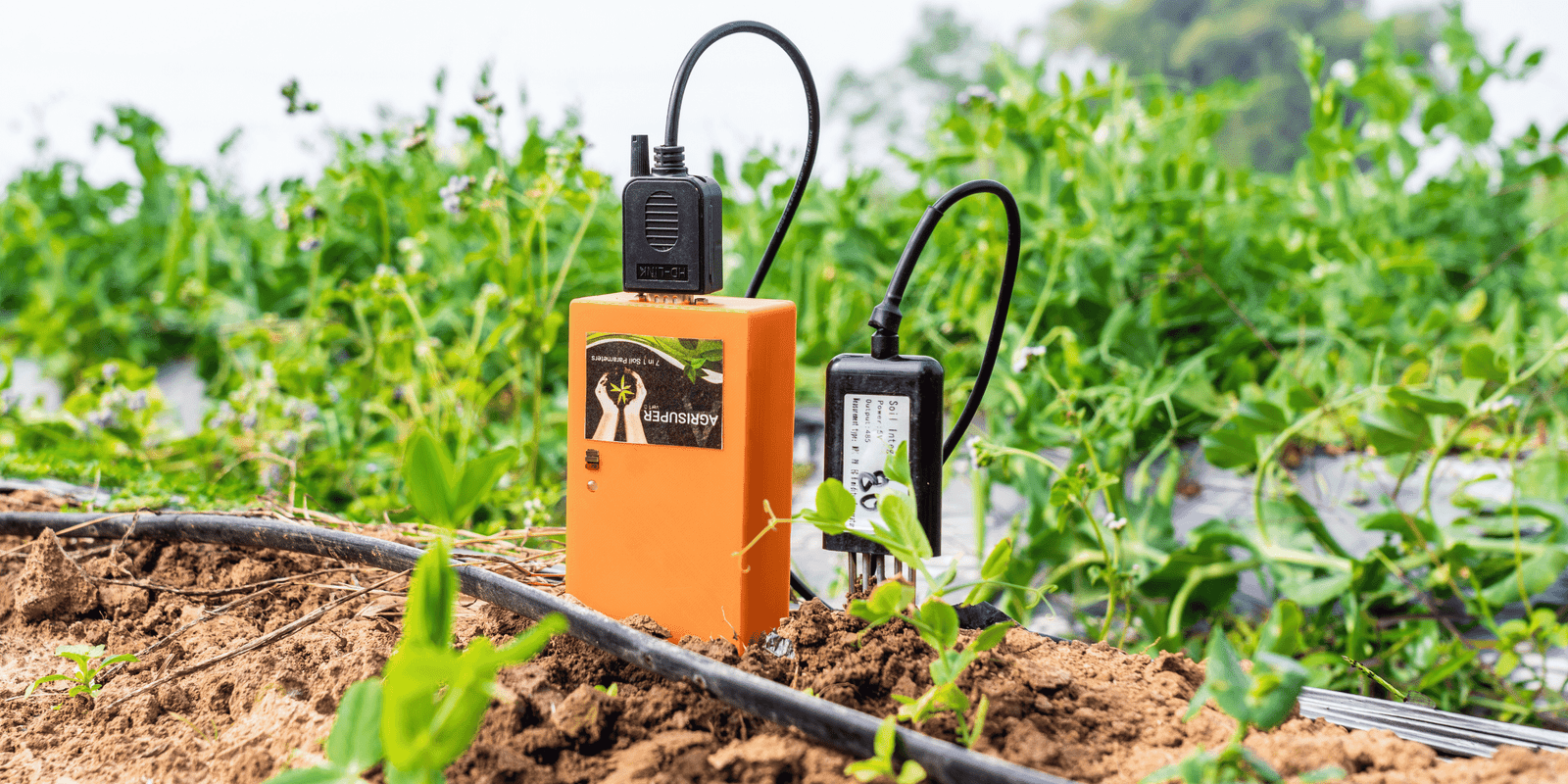 IoT Device